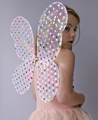 כנפיים קסומות מנוקדות 🌈✨