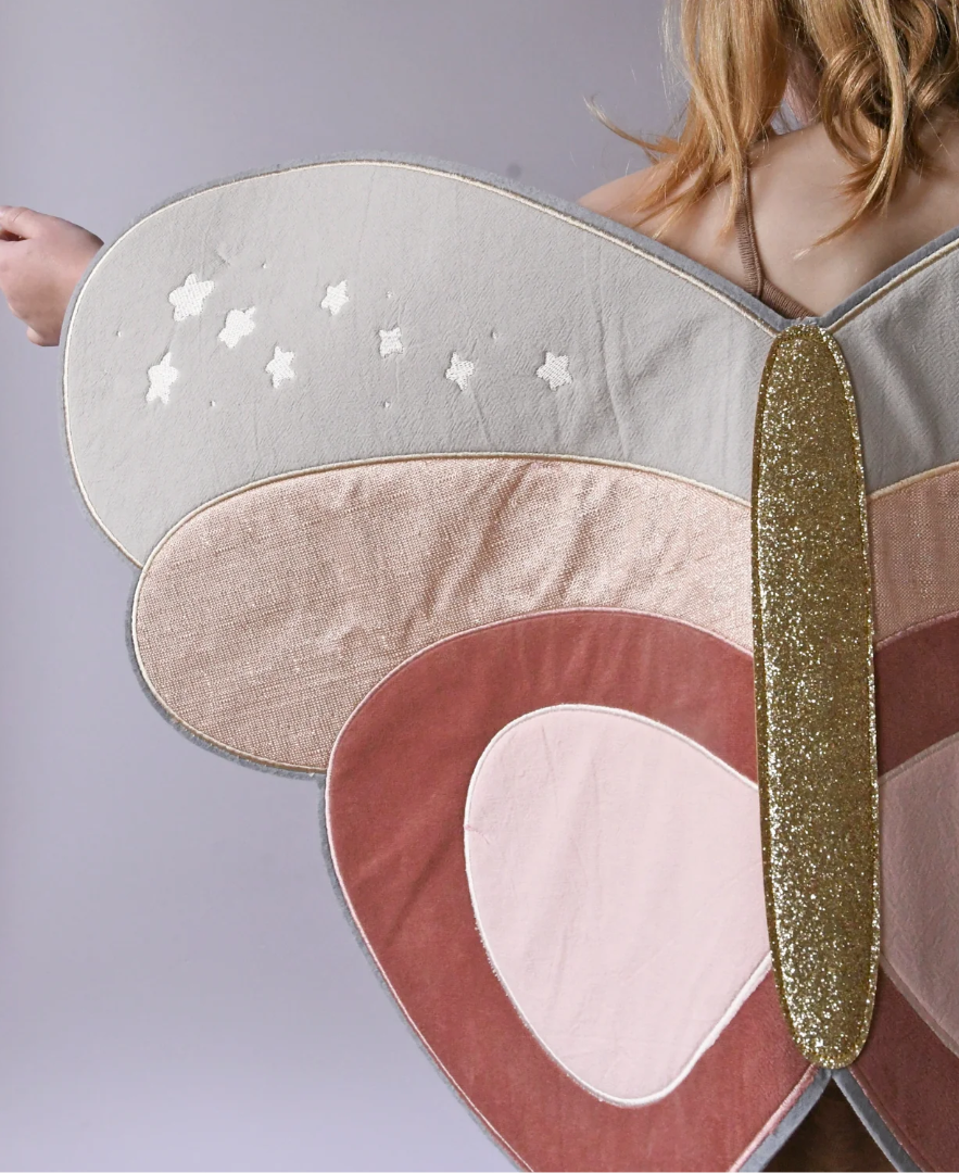 כנפיים של פרפר מפוארות🦋