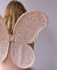 כנפיים קסומות עם פאייטים 🧚‍♀️✨